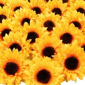 Meet your Posher, Lidia